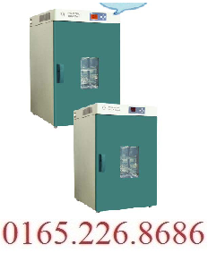 Tủ sấy 225 l&iacute;t - Model: DHG -9240 B